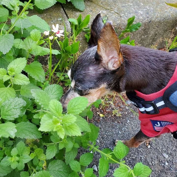 Dcae6204 6c5e 4bf0 bf66 f5fc68edc92f 1714912991177