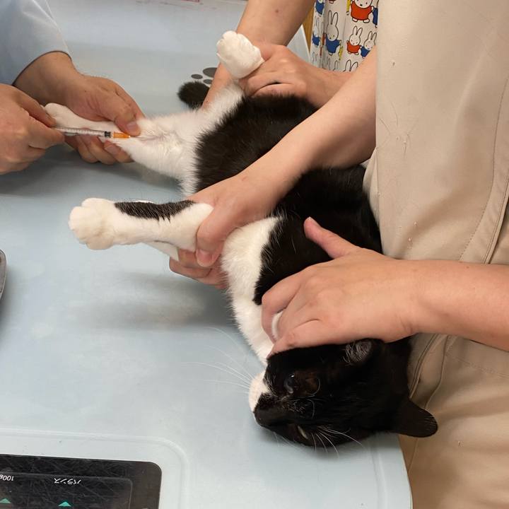 Dcae8ff6 2197 483c a904 7237459100a0 1685800432912