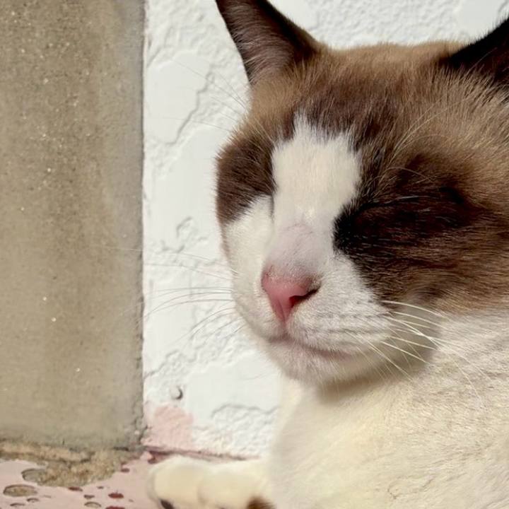 Dcae9fed 9f04 4991 b7d2 1c47aca4ae4b 1763864938074