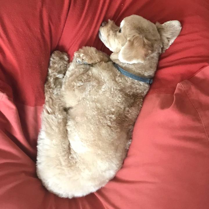 Dcaec17a 3e1c 468b 8b6a 8d60dfff8d9a 1528357080869