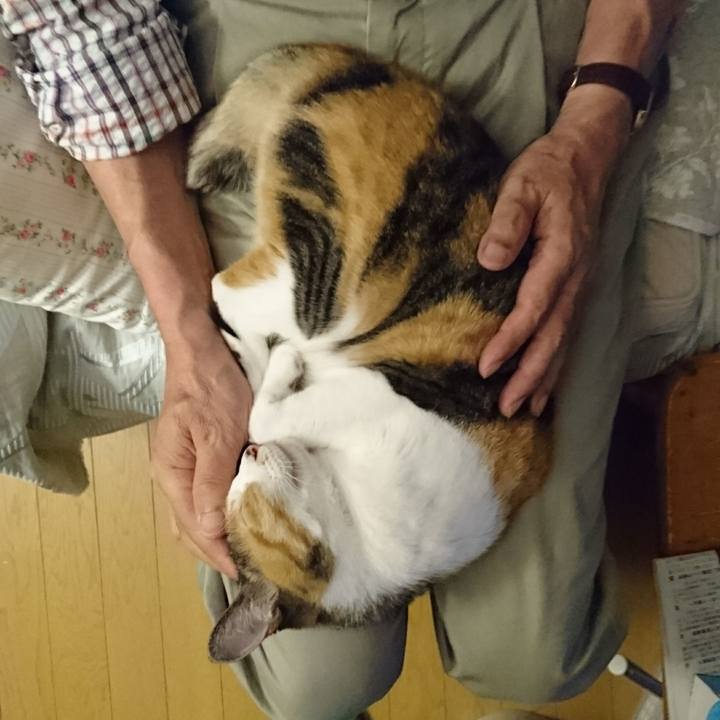 Dcaf0ecb 4d21 48aa ba16 77be0b04fd64 1600522052827