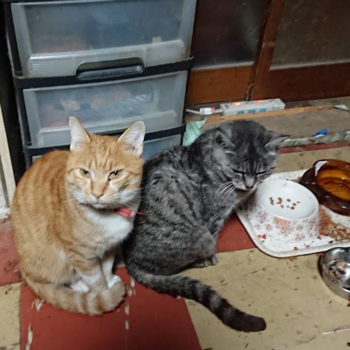 Dcaf136a bb46 4214 8b27 8c173f5512ca 1572121732839