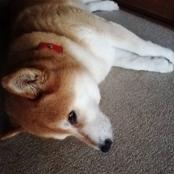 Dcaf8a92 2b1f 4705 a7e3 99c428d853f7 1659481346246