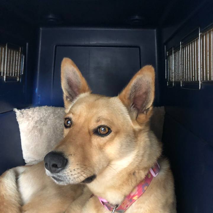 Dcafae7c 320c 4847 a06d fdc3369fb9f3 1526185297021