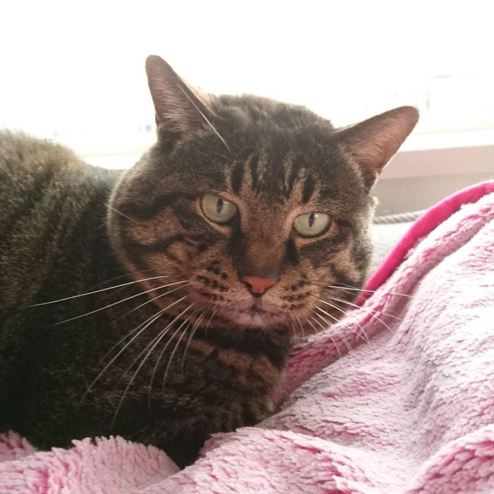 Dcafb1c5 435a 4850 953c 01b684790e09 1578222070403