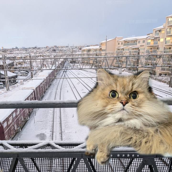 Dcafb407 a146 4d73 b027 507f892a03d5 1736557258199