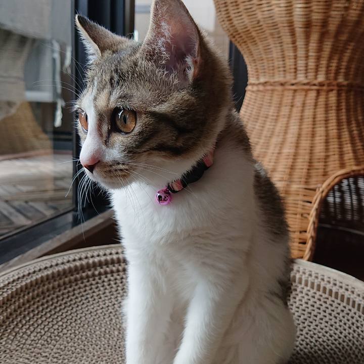 Dcafc35b d0ee 4fb1 b967 cd9ba8f25f78 1549978423275