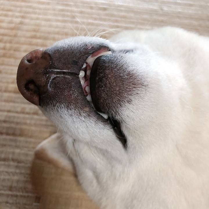 Dcafc7fe 2645 42e8 8daf 385e7084b6df 1652506847666