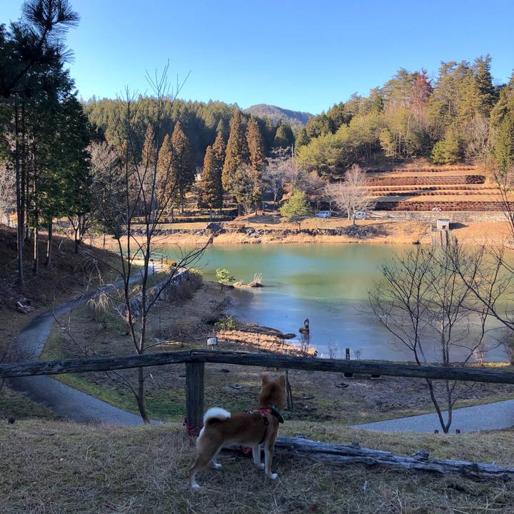 Dcafd61b 4dbc 4407 914c 69dec1be45f6 1547454718297