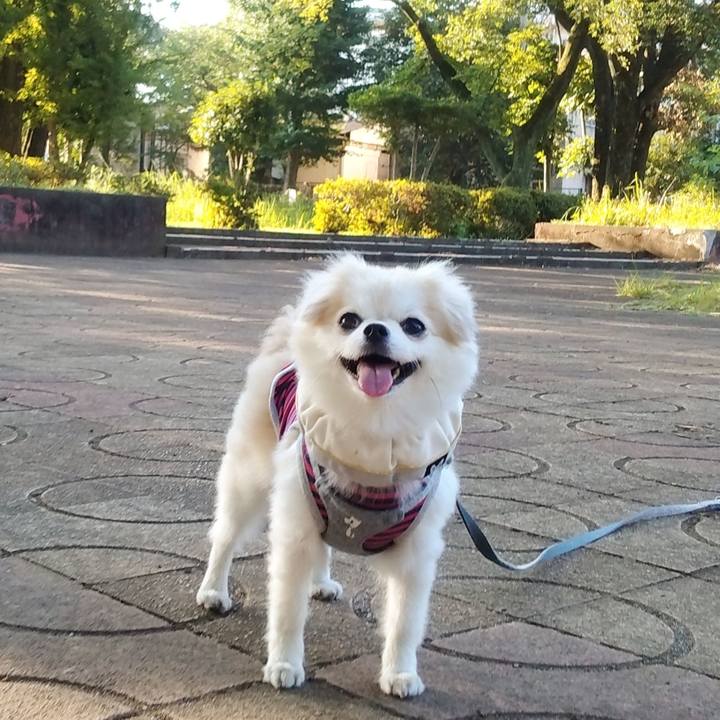 Dcb00cd8 b268 452e 8ac3 98bf4478a3e2 1695304451266