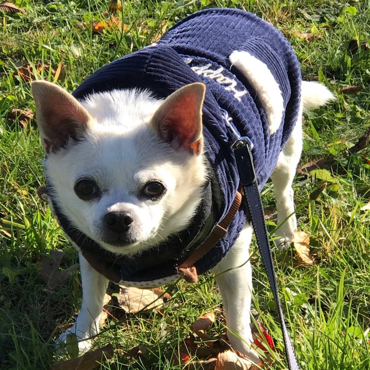 Dcb089ea 9c31 41db 8107 e76465f28403 1573536593823