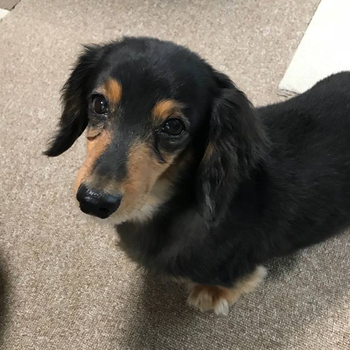 Dcb095ac 1f17 4c41 b45b c3faa91827e9 1527460640197