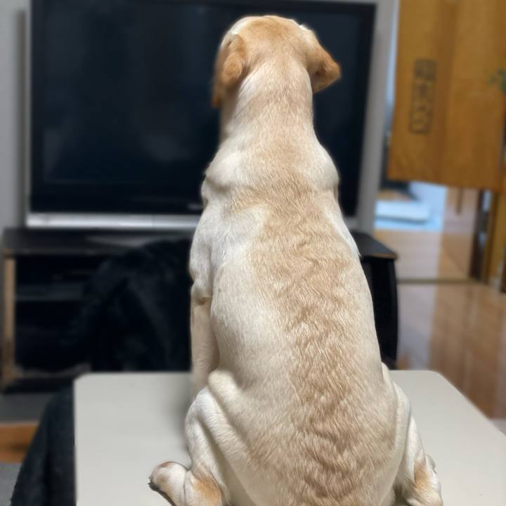 Dcb0d0c8 eaf4 4dfd 9fd8 6c76fac7caf2 1650369943300