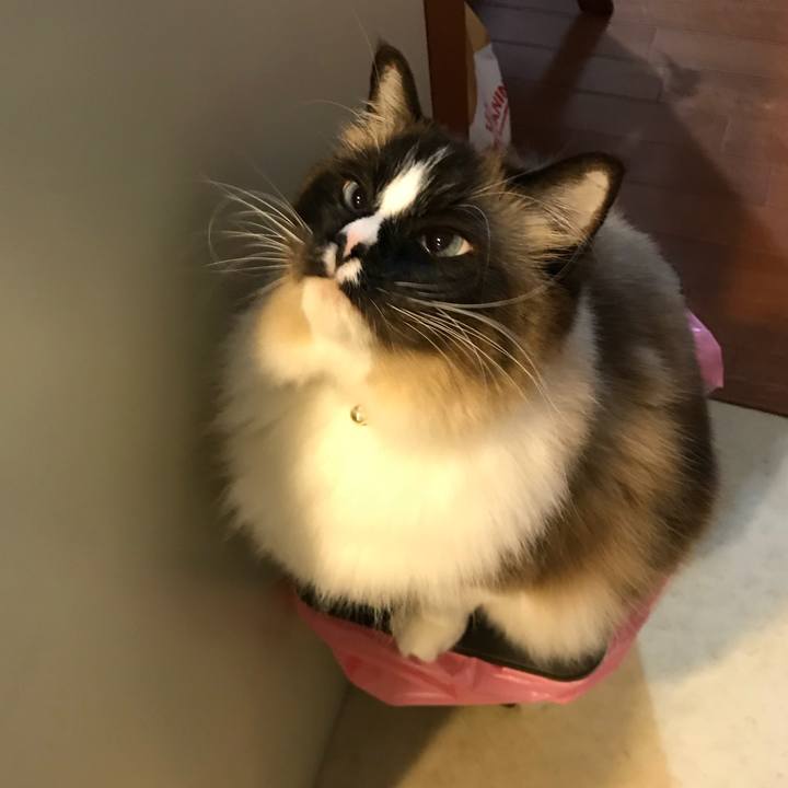 Dcb0de1f 3b64 4875 a044 62e6834e60e7 1522101905203