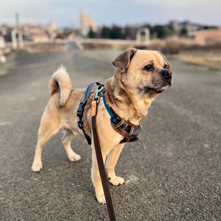 Dcb11413 1fab 45dd b537 ab7dc4c5fc28 1772963015975