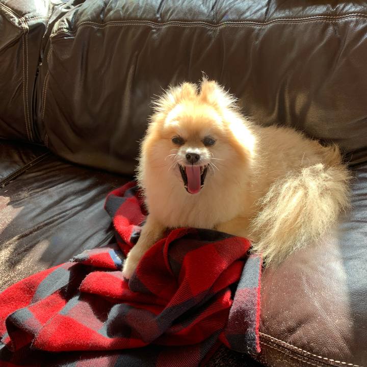 Dcb138f2 202a 4c80 b99e e23c58f4e5d9 1587042233458