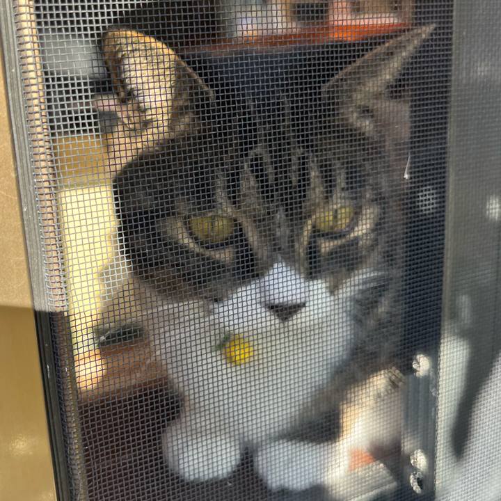 Dcb1488a 86e2 4103 9b91 f933512ac835 1758323856772