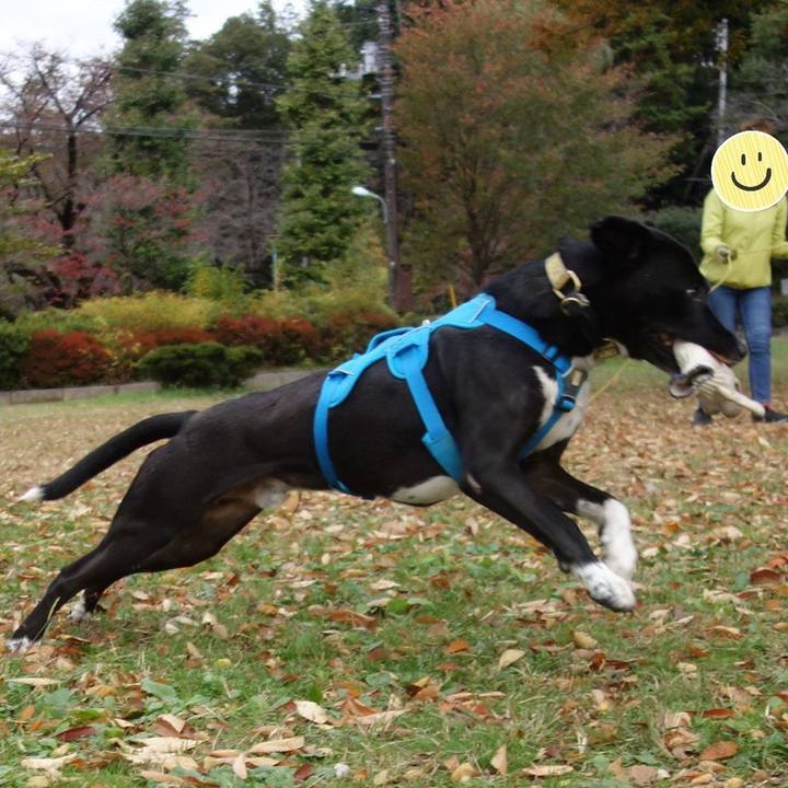 Dcb16cc0 ade9 4c17 af6c f6813c9f8d9e 1605143690388