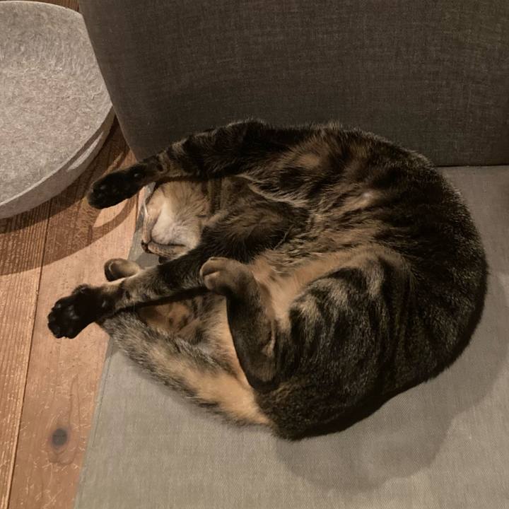 Dcb19db7 bfe4 4140 b3e4 6041f20c45a1 1734134732402