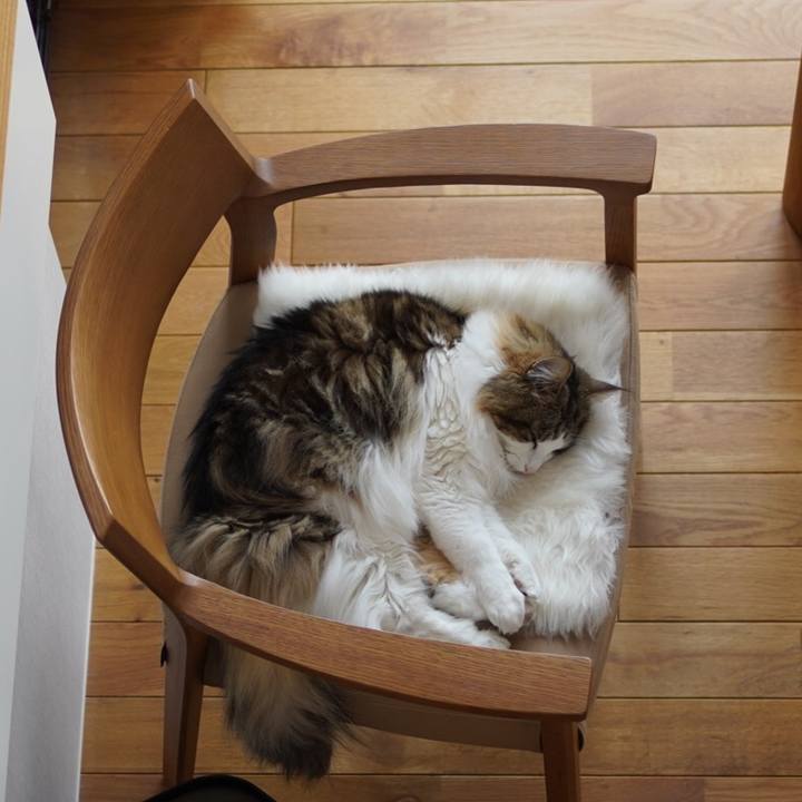 Dcb1a13c 28d2 4f20 801a 6f2f9f45baa0 1617668344597