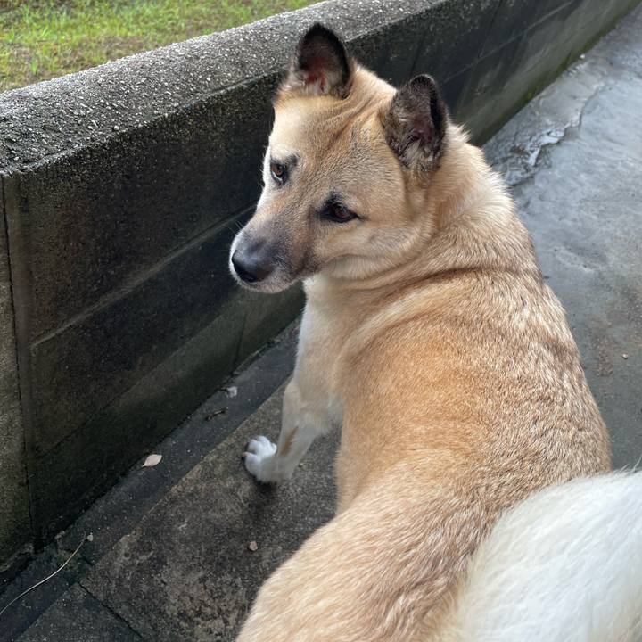 Dcb1a576 b556 4ae6 aa06 0224d9234357 1654001179169