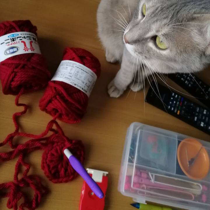 Dcb1a962 9b1d 486d bc67 b12f3c333b4c 1549855974805