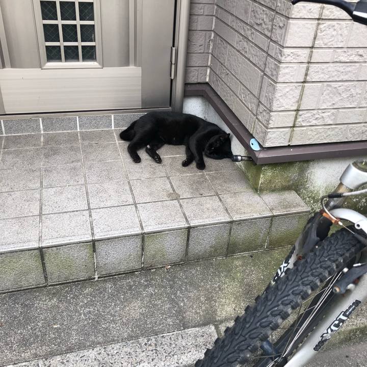 Dcb1c766 5f90 44ac a5eb 75636c7d4c4a 1566719112477