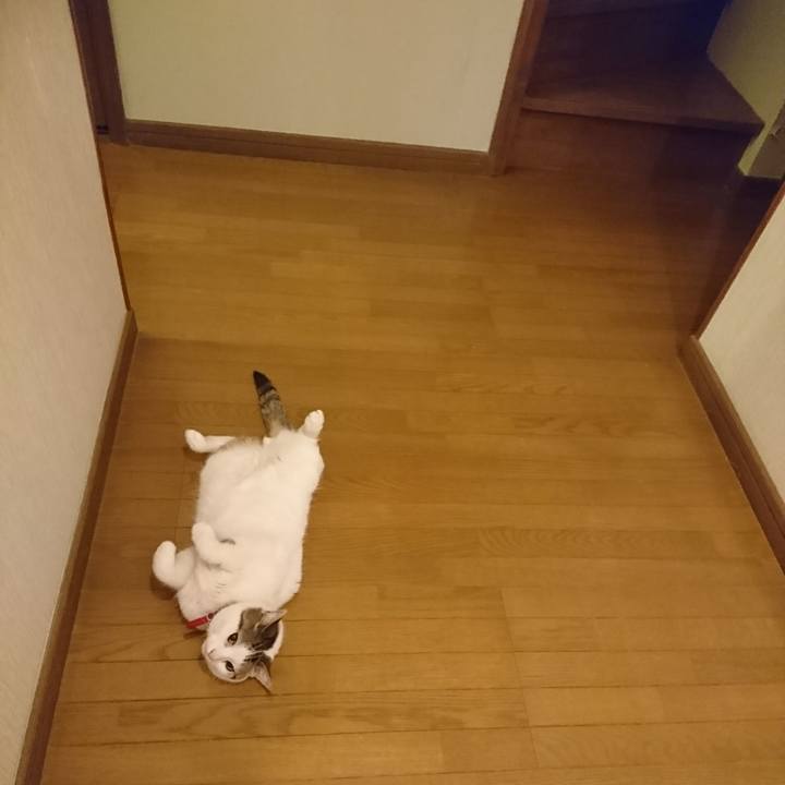 Dcb1de70 3789 41ce 8166 d9c926c0d647 1528125290360