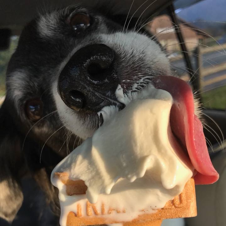 Dcb208cf 3ea5 40cd b88c 40850fbdcfbe 1507787574164