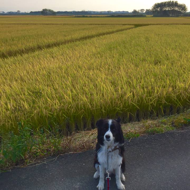 Dcb2196a 391f 4acc 9854 25784ea5c147 1539735167920