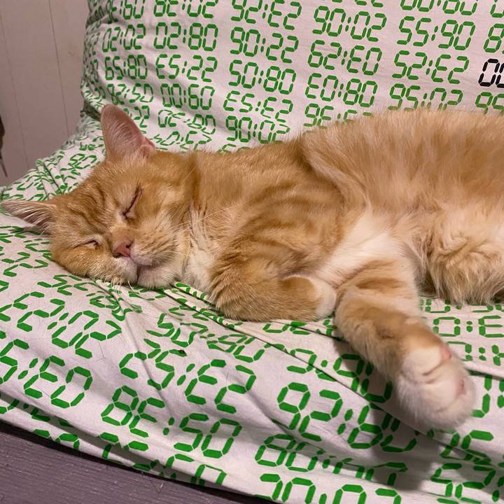 Dcb23362 49a8 4d4b b388 0e317552dd74 1663372451696