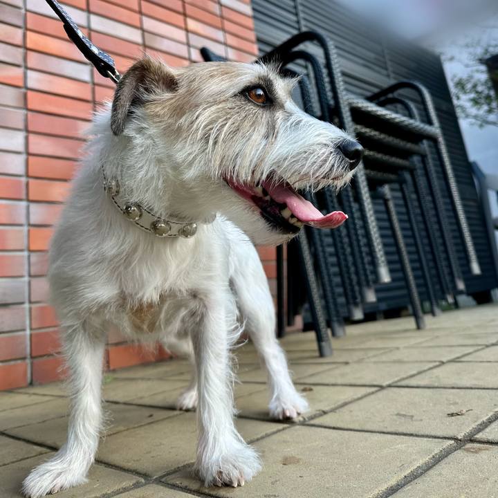 Dcb24d58 6110 4574 9ef0 0af0ddbbe55a 1729434198768