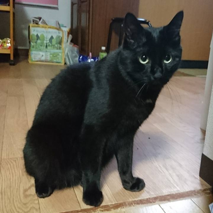 Dcb2722d f7a8 42f4 b019 701a35637559 1535862159212