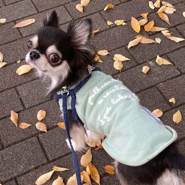 Dcb27702 4a4a 4037 b049 c2c8c857ed06 1668263735556