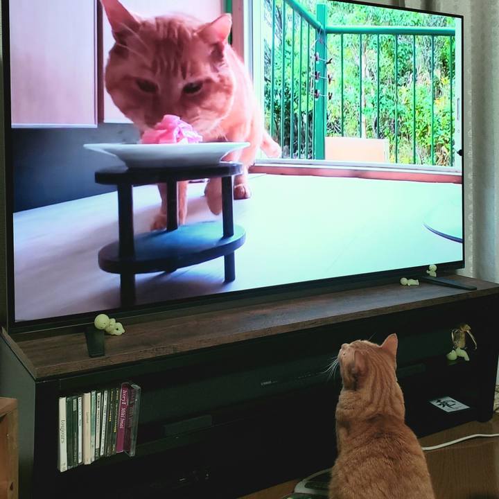 Dcb299da 518d 4067 ab42 bcf507b9900c 1738128481186