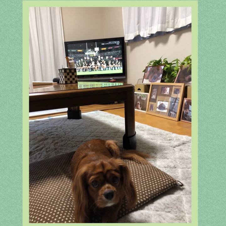 Dcb2a04e ac4e 42f4 8a79 9999bca992b7 1572078254491