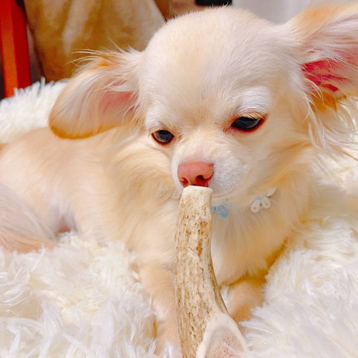 Dcb2c42f ee28 42eb 954e 87f417fb4dee 1621169962325