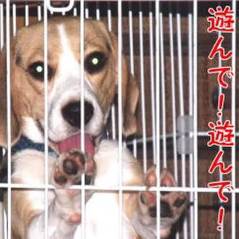 Dcb2c81a 0605 499c ab09 bf53488077ce 1686264087892