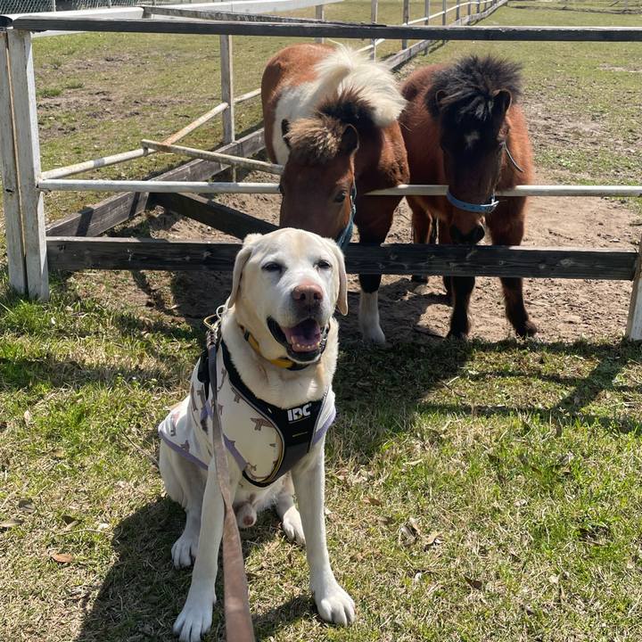 Dcb2dd88 ba88 4f0b ba85 b0fcf0e0d796 1650105401045