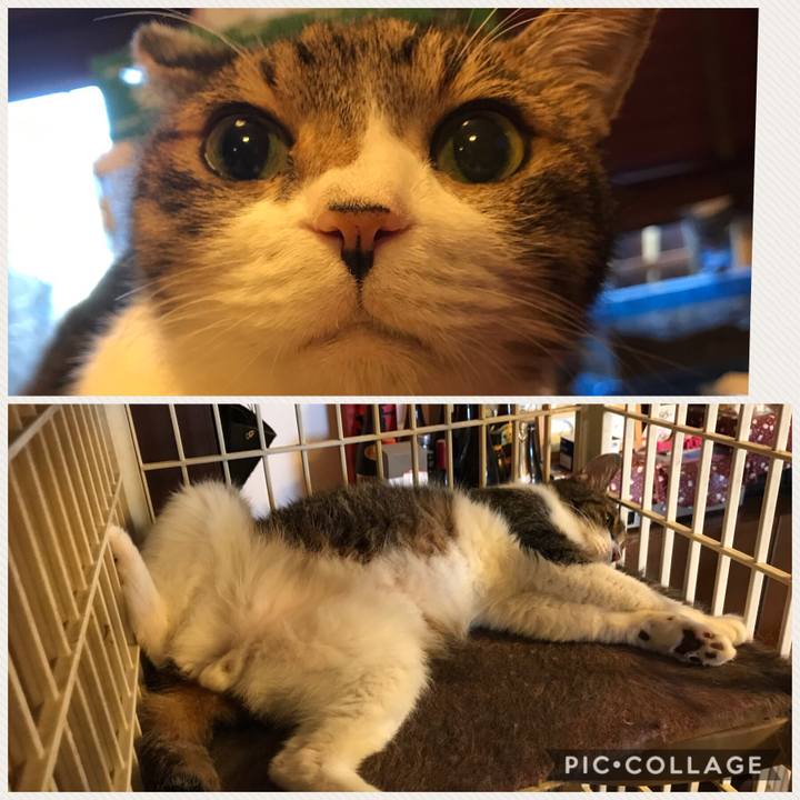 Dcb30d82 2b1b 44e5 a5b2 734e13a1cf9e 1529819275042