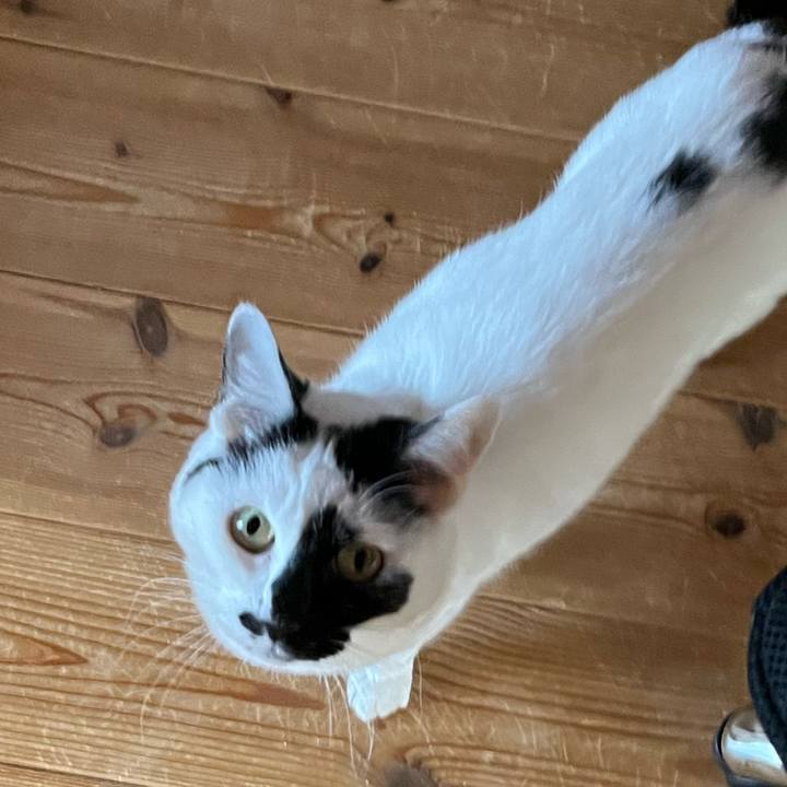 Dcb318f7 3b38 4af8 b7d1 cefb9df3d14f 1773755622403