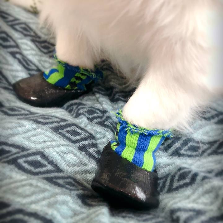 Dcb37ded ca51 416a a789 6b979b3f3aa4 1609920551235