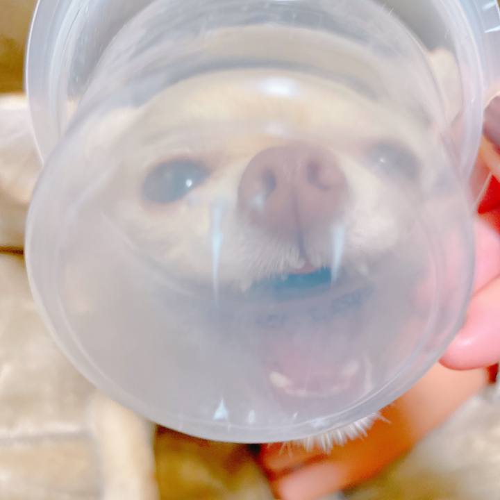 Dcb3c8e3 b5b2 44b0 b71e 0531fcd399ca 1639432764350