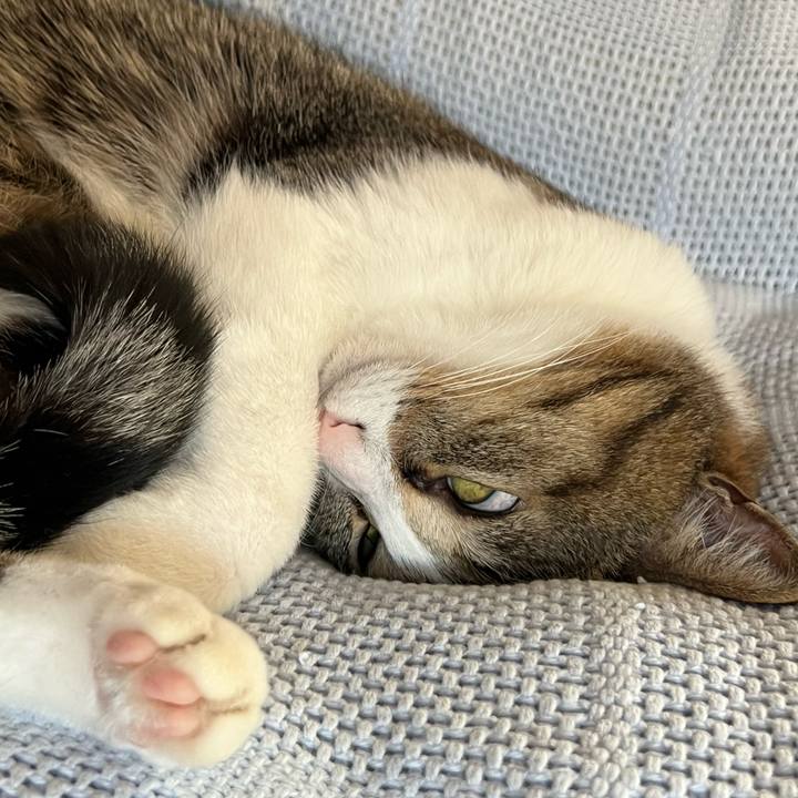 Dcb439bd be53 434e b6da 6f3f57a63ff0 1751293644524