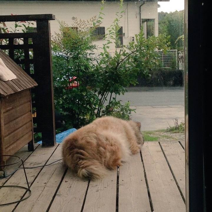 Dcb45ada d3ad 467c 83ab 8ad2e2888c22 1586477654875