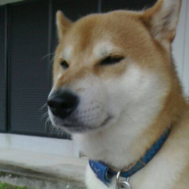 Dcb4c295 2244 40ad a79d ec836237d005 1538224576549