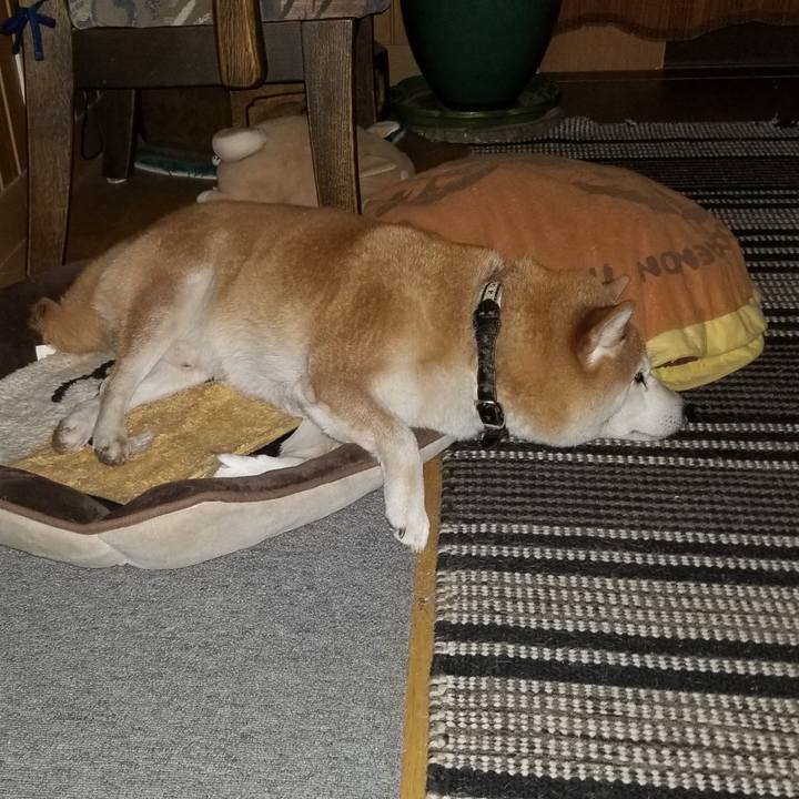 Dcb4d0fd df2d 44fd 82fd 75528eab9d2b 1639481707607