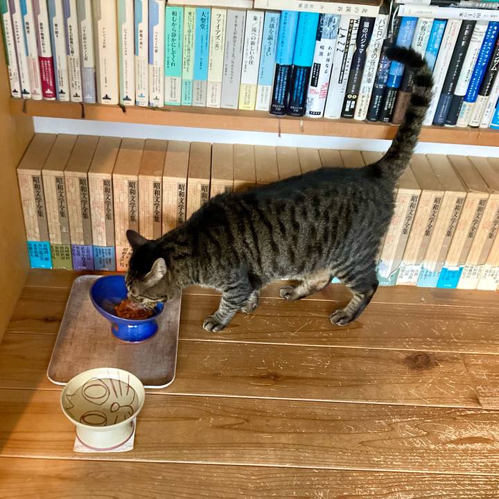 Dcb4f526 e698 4abf b0ab 900b126fbd53 1724849146656