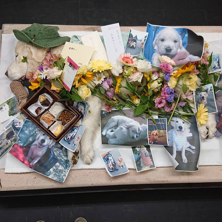 Dcb4f856 6412 4451 a436 9710520352db 1592685481356