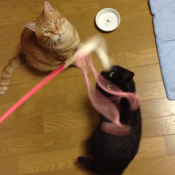 Dcb5098b 1067 4113 aa43 7357146de89d 1543146411765